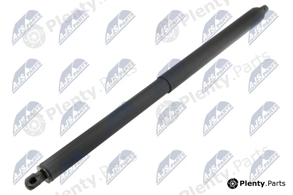 NTY AE-CH-058 — Gas Spring, boot/cargo area