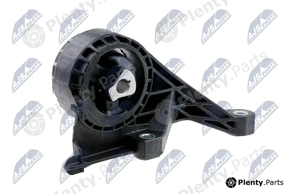 NTY ZPS-PL-005 — Mounting, engine