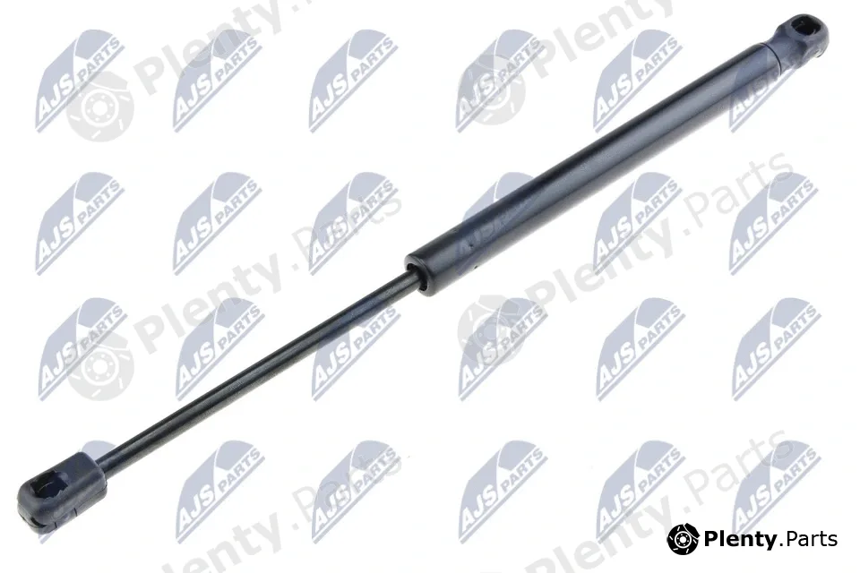NTY AE-SE-014 — Gas Spring, boot/cargo area