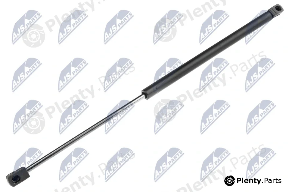 NTY AE-PL-035 — Gas Spring, bonnet