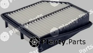 Fram-Au CA10839 — Air Filter