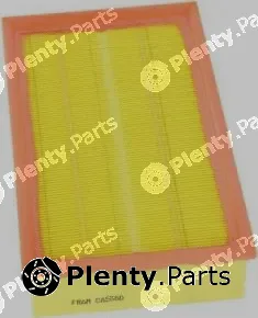 Fram-Au CA5560 — Air Filter