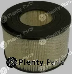 Fram-Au CA376 — Air Filter