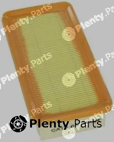 Fram-Au CA10088 — Air Filter