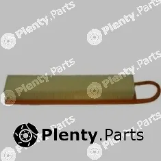Fram-Au CA10418 — Air Filter