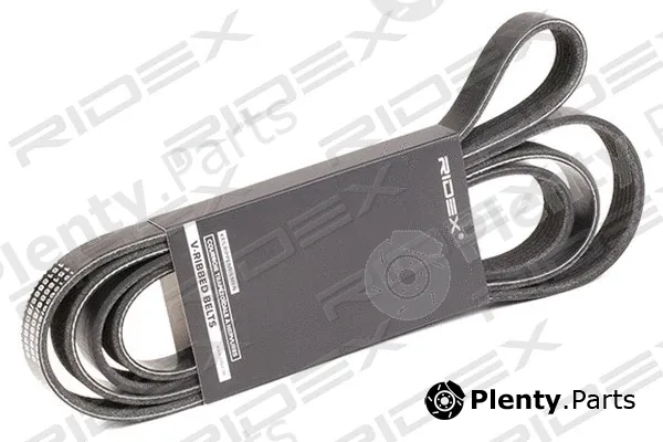 Ridex 305P0101 — V-Ribbed Belt