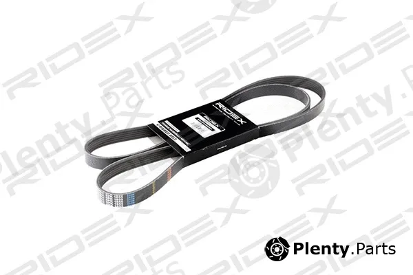 Ridex 305P0146 — V-Ribbed Belt