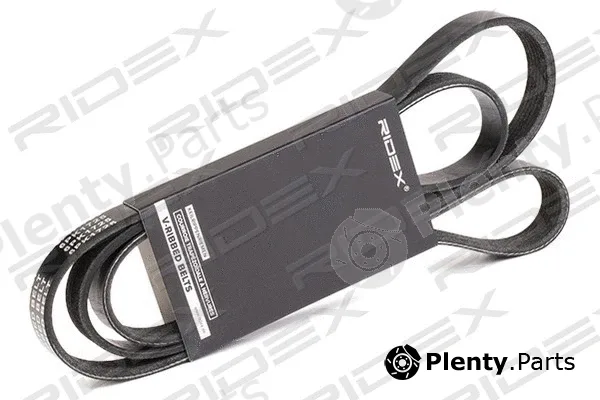 Ridex 305P0171 — V-Ribbed Belt