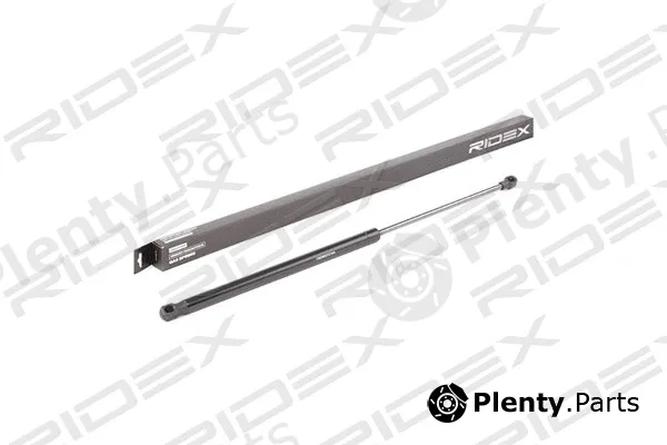 Ridex 219G0756 — Gas Spring, boot/cargo area