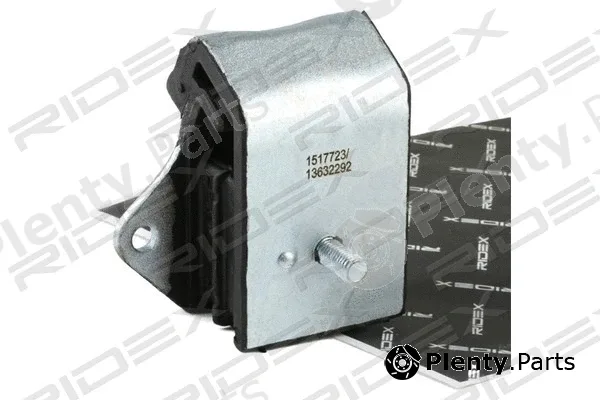 Ridex 247E0180 — Mounting, engine