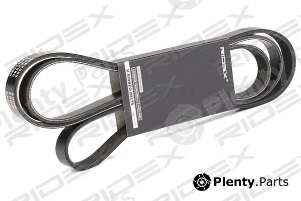 Ridex 305P0095 — V-Ribbed Belt