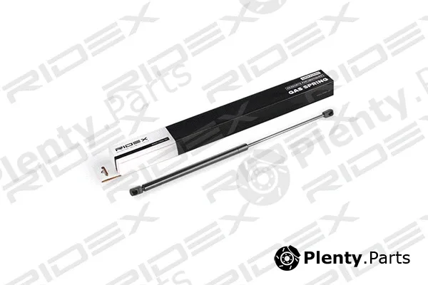 Ridex 219G0457 — Gas Spring, boot/cargo area