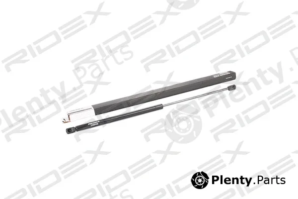 Ridex 219G0352 — Gas Spring, boot/cargo area