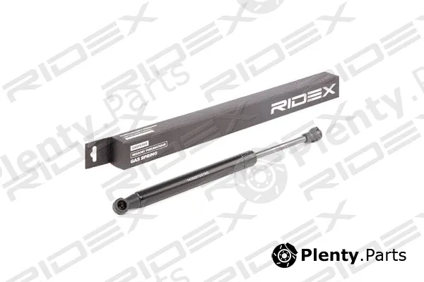Ridex 219G0893 — Gas Spring, boot/cargo area