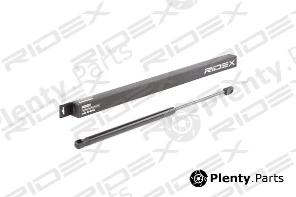 Ridex 219G0547 — Gas Spring, boot/cargo area