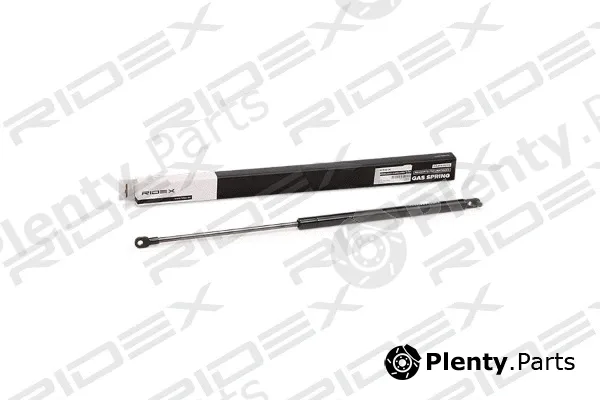 Ridex 219G0512 — Gas Spring, boot/cargo area