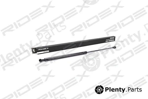 Ridex 219G0049 — Gas Spring, boot/cargo area