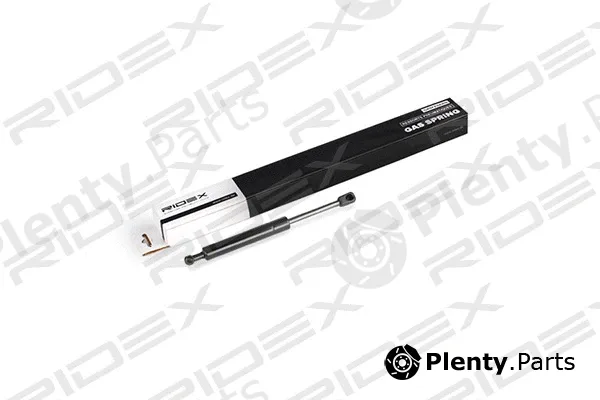 Ridex 219G0131 — Gas Spring, boot/cargo area