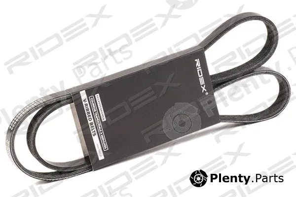 Ridex 305P0159 — V-Ribbed Belt