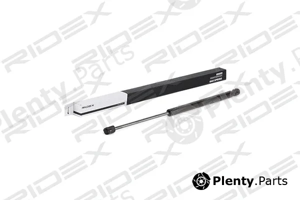 Ridex 219G0273 — Gas Spring, boot/cargo area