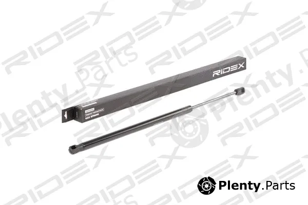 Ridex 219G0649 — Gas Spring, boot/cargo area
