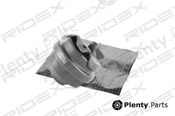 Ridex 247E0205 — Mounting, engine