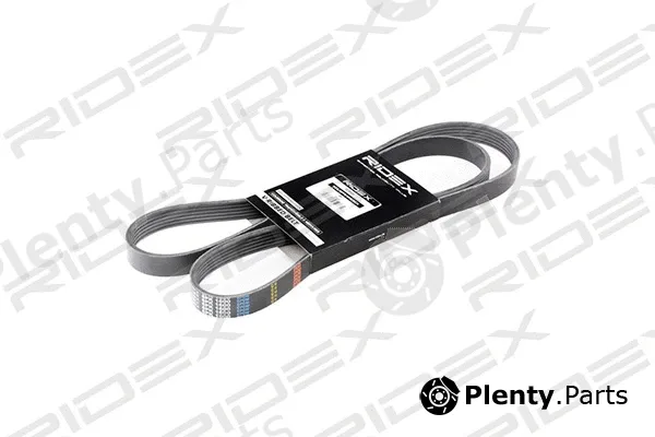 Ridex 305P0250 — V-Ribbed Belt