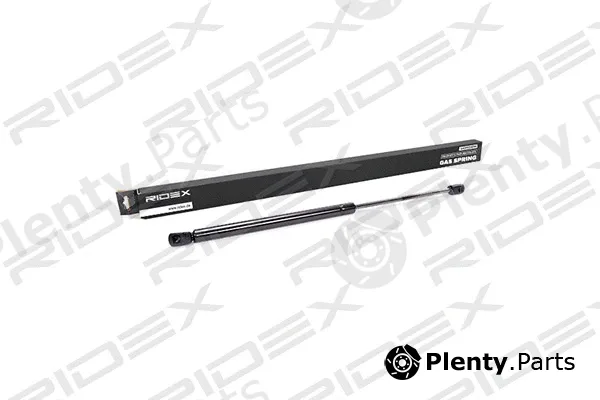 Ridex 219G0161 — Gas Spring, boot/cargo area