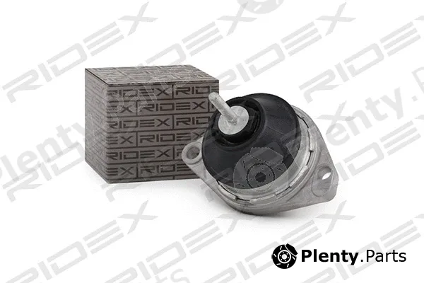 Ridex 247E0033 — Mounting, engine