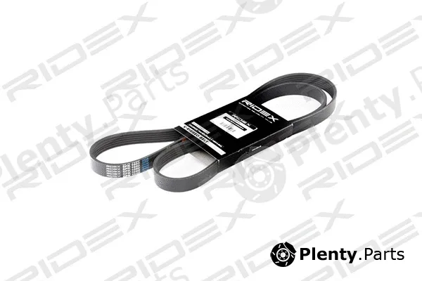 Ridex 305P0079 — V-Ribbed Belt