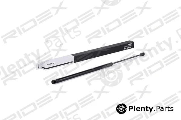 Ridex 219G0576 — Gas Spring, boot/cargo area