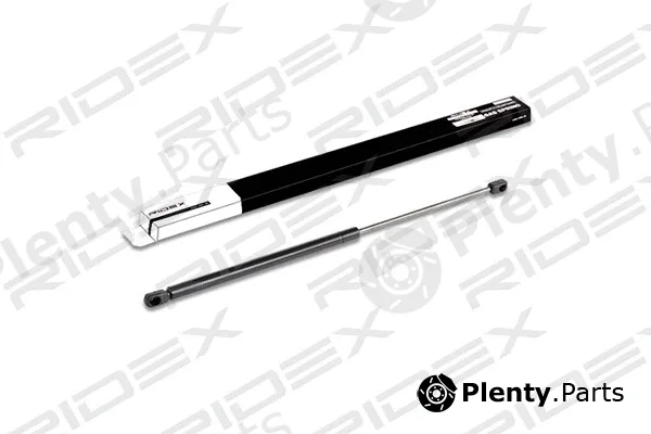 Ridex 219G0183 — Gas Spring, boot/cargo area