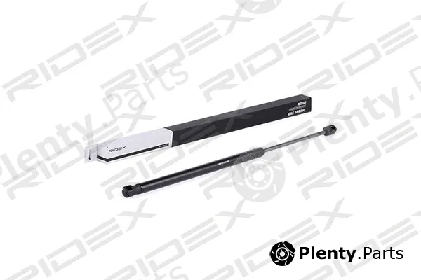Ridex 219G0563 — Gas Spring, boot/cargo area
