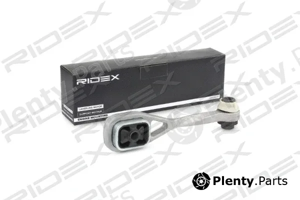 Ridex 247E0048 — Mounting, engine