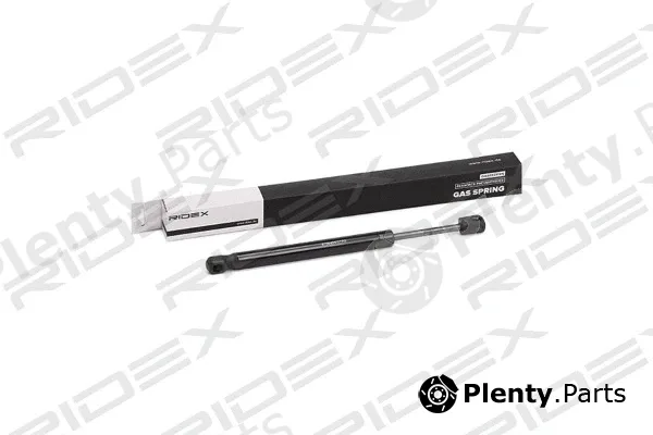 Ridex 219G0199 — Gas Spring, boot/cargo area