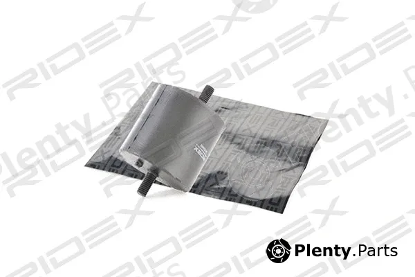 Ridex 247E0065 — Mounting, engine