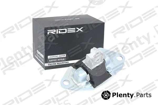 Ridex 247E0052 — Mounting, engine