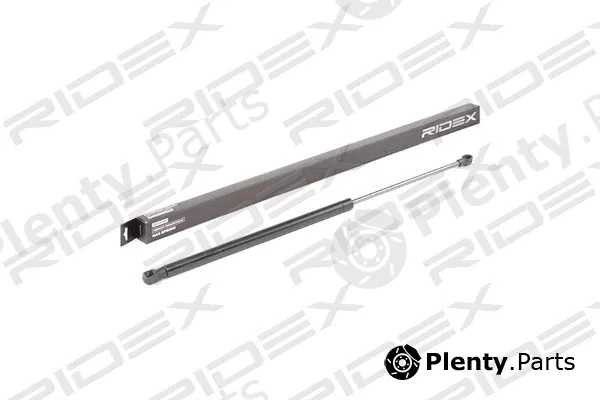 Ridex 219G0734 — Gas Spring, boot/cargo area