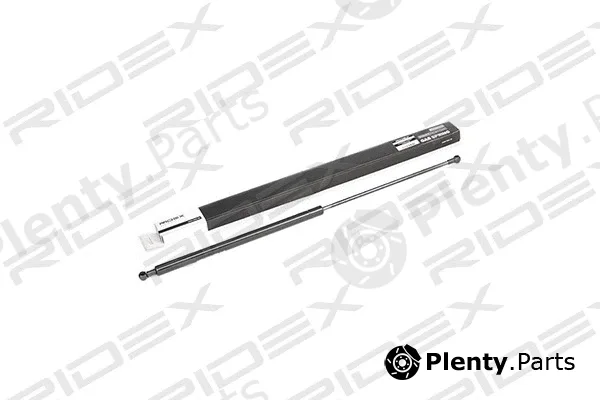 Ridex 219G0169 — Gas Spring, boot/cargo area