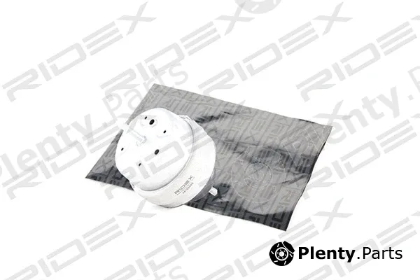 Ridex 247E0006 — Mounting, engine