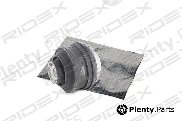 Ridex 247E0002 — Mounting, engine