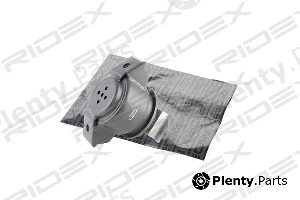 Ridex 247E0029 — Mounting, engine