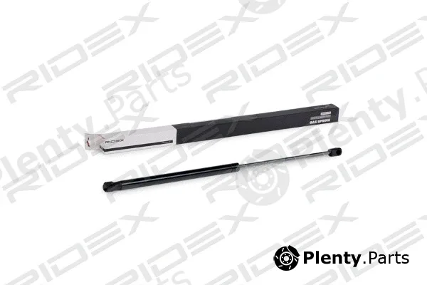 Ridex 219G0590 — Gas Spring, boot/cargo area