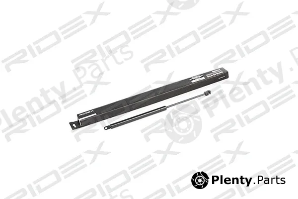 Ridex 219G0280 — Gas Spring, boot/cargo area