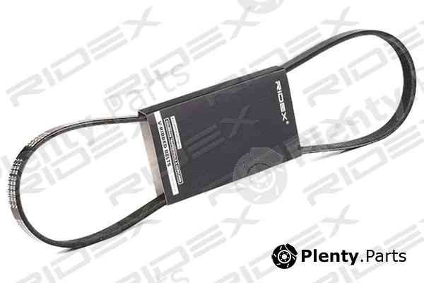 Ridex 305P0351 — V-Ribbed Belt