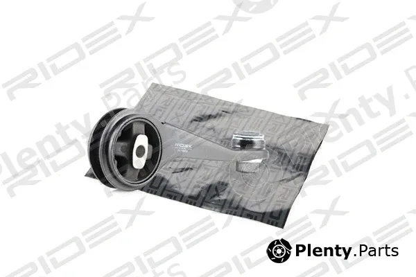 Ridex 247E0018 — Mounting, engine