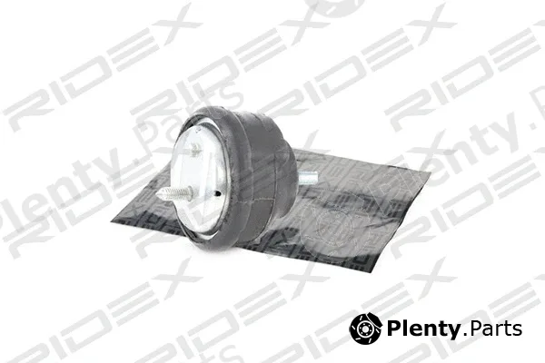 Ridex 247E0043 — Mounting, engine