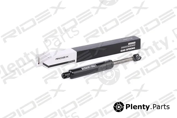 Ridex 219G0191 — Gas Spring, boot/cargo area