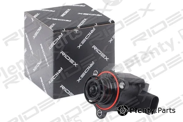 Ridex 4314D0004 — Recirculating Air Valve, charger