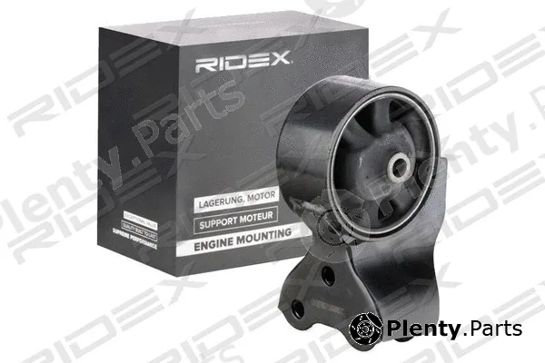 Ridex 247E0554 — Mounting, engine